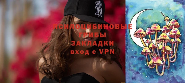 МДПВ Абаза