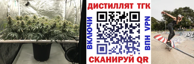 Дистиллят ТГК вейп  Саранск 