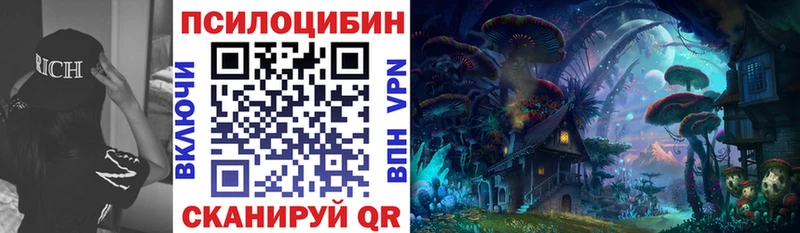 Галлюциногенные грибы Psilocybe Саранск